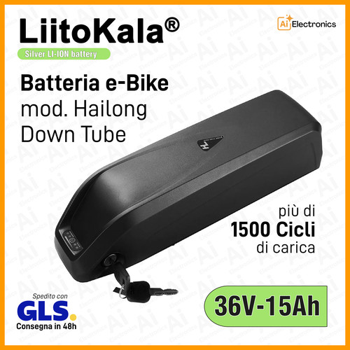 Batteria bici elettrica bike - batteria,