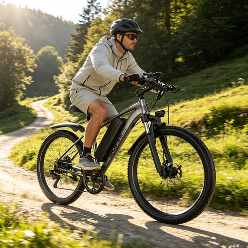 Bicicletta elettrica - bicicletta, 26