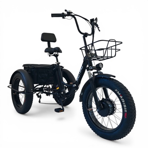 Triciclo elettrico fatbike