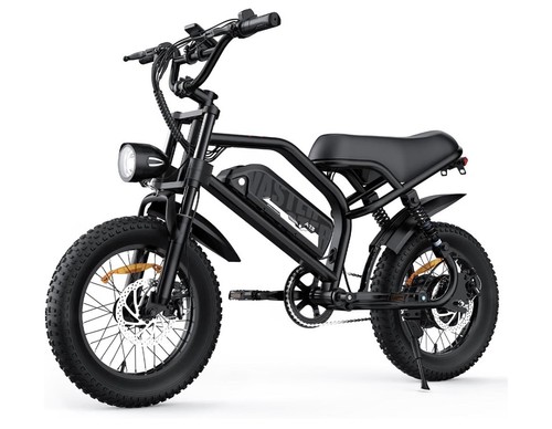 Bici elettrica a13 250w nera - a13,