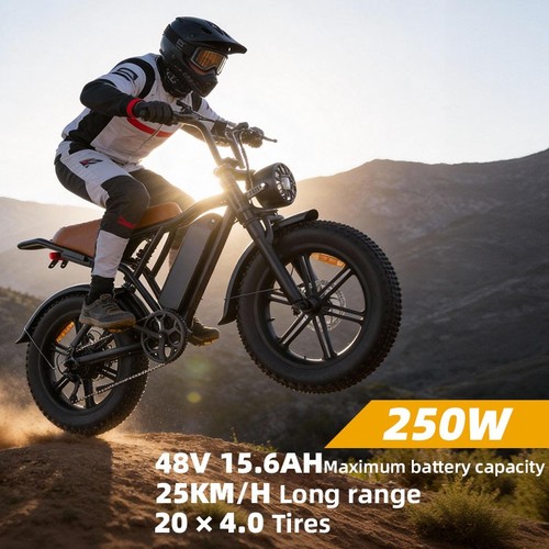 Bicicletta elettrica 48v15 - bicicletta, 48v15.6ah