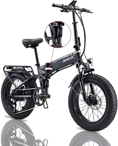 Bicicletta elettrica 750w - elettrica,