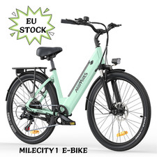 250W 7 Velocità Bici