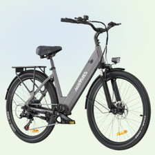 Bici Elettrica 26 pollici 250W
