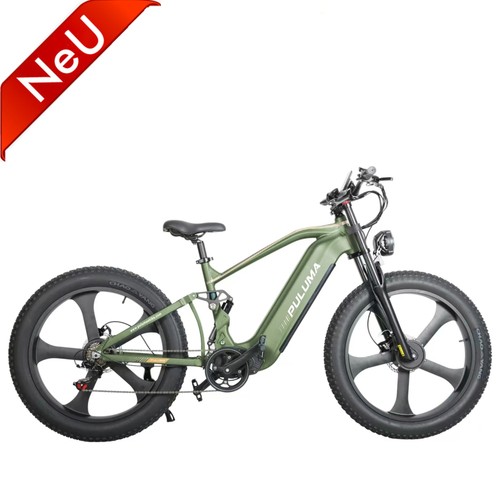 Doppio motore bici elettrica - doppio,