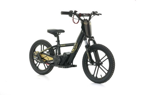 Bici elettrica balance per - elettrica,