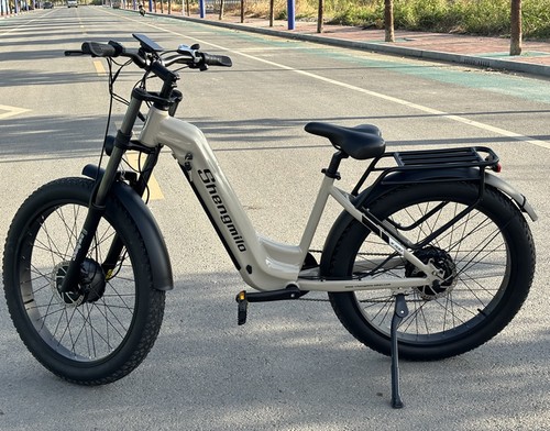 Bici elettrica donna - bici, da
