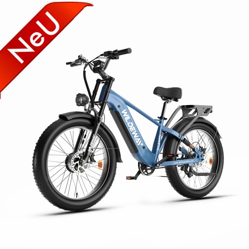 Mountain bike elettrica 2000w - mountain,