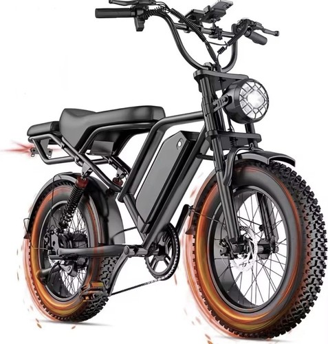 Bici elettrica fat bike - elettrica,