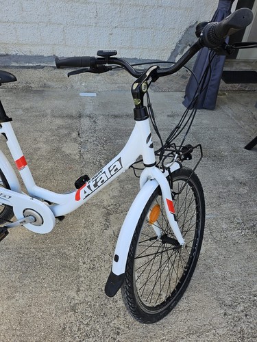 Bici bicicletta elettrica - bici,